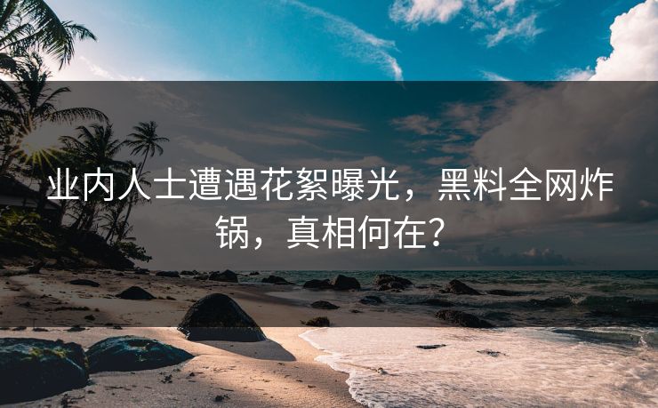 业内人士遭遇花絮曝光，黑料全网炸锅，真相何在？